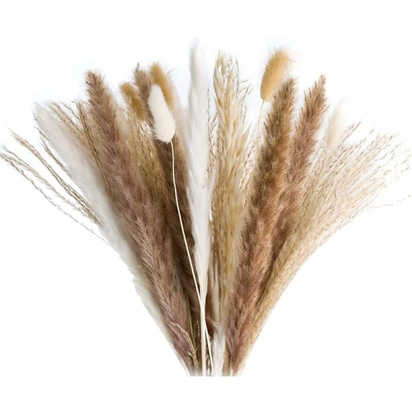 72 stycken Pampasgräs Serie - Fluffy Vit/Brun Pampas, Vassgräs och Kaninsvansar och Havregryn, för Blomsterarrangemang Heminredning