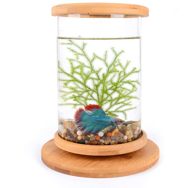 Mini Glas Akvarium Fiskedam Dekoration Base Roterende Fiskeskål Dekoration Miljøvenlig Flaske Akvarium