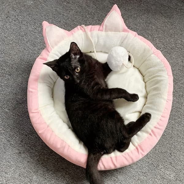 Lugnande kattbädd för inomhuskatter - M