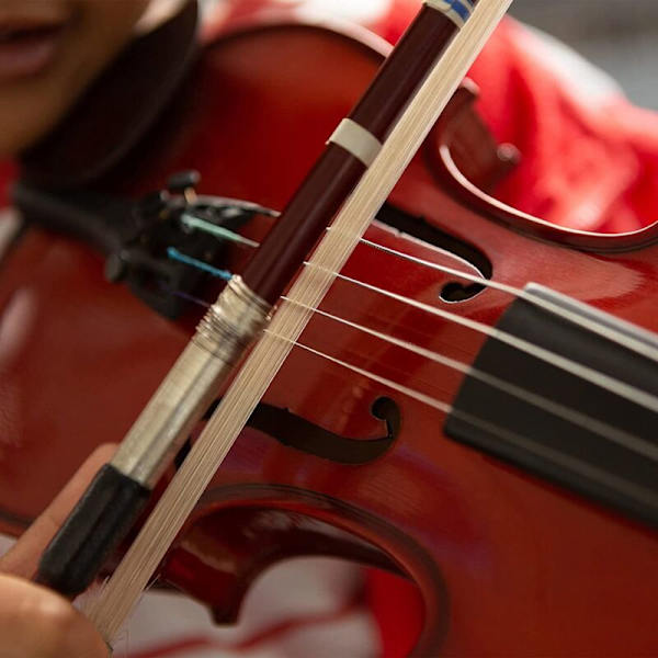 3 kpl Viulun Jousikarvan Vaihtosetti 29,2 tuuman Viulun Jousikarvan Vaihtotyökalut Musiikkijousikarva Viulun Hevosenkarva, Valkoinen