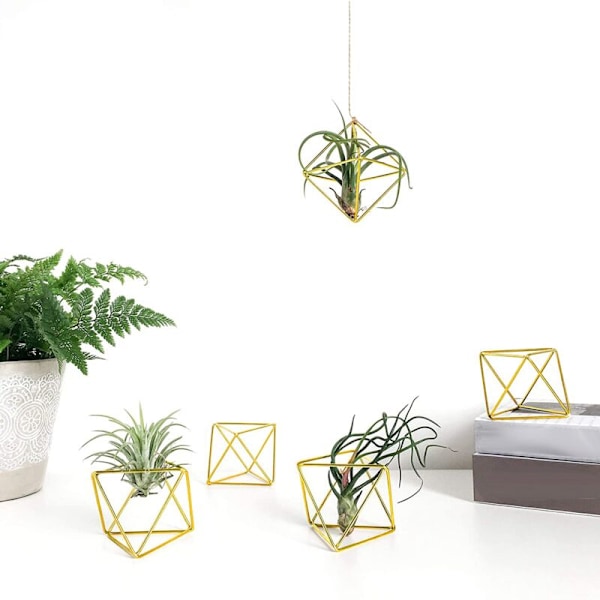 6 st Luftväxtställ Mini-bricka Metallbord Modern Dekor Geometrisk Planteringskruka Tillandsia Luftbräken Displayställ