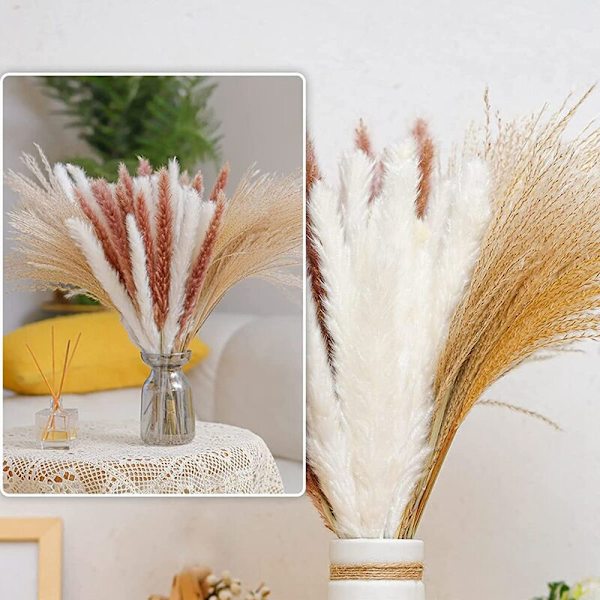 65 stk tørket pampasgress, pampas til bohemske arrangementer, bryllupsdekorasjon, blomsteroppsatsgaver til kvinner