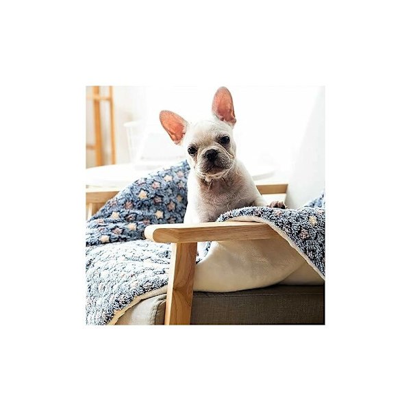 Lemmikkipeitto, Premium Fluffy Flannel -tyyny, Pehmeä ja lämmin alusta koirille ja kissoille, Pieni koko, Siniset tähtieläimet