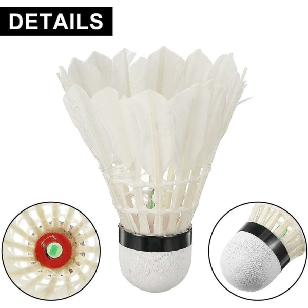6 st LED Badmintonbollar, Mörker Natt Färgglada LED Gås Fjäder Glöd Birdies