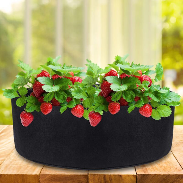 Stofpose til dyrkning af planter 55x19cm 5 stk.