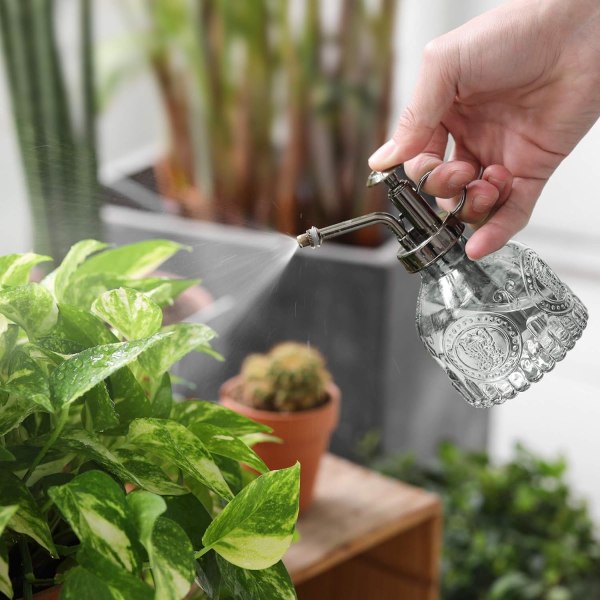 Retro dekorativ växtvattenkanna i glas med topppump för inomhusväxter Glasbehållare (klar)