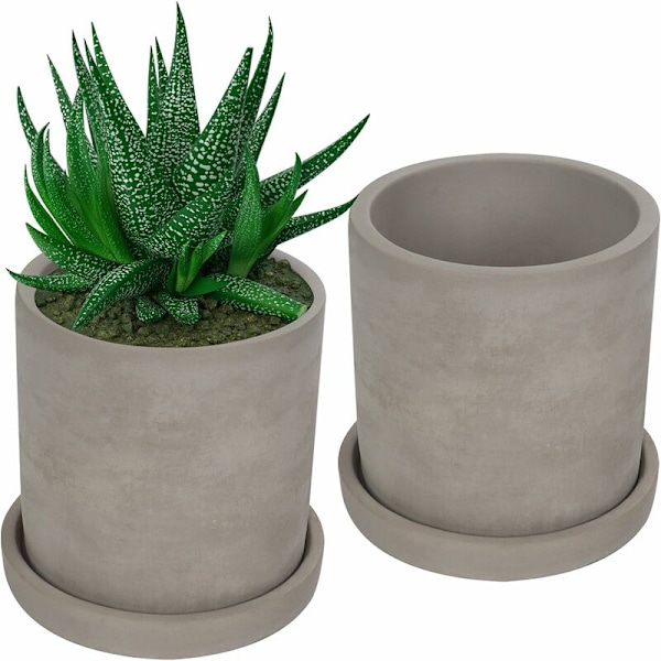 Liten grå cementkruka (2-pack) - Bonsaikruka med fat och dräneringshål - Kruka för suckulenter, kaktusar och andra små växter, blommor och