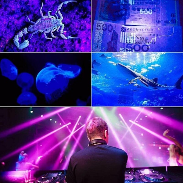 UV-lyslist, 36W UV-projektor lilla lys 12 LED-er, svart lyslampe veggvaskerlampe perfekt scenebelysning for klubb, fest, diskotek, KTV, Sunny