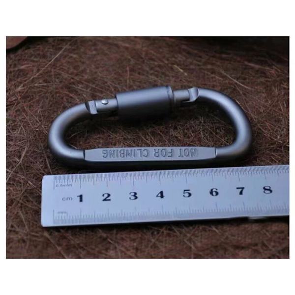 Mini Micro 2 Karabiner med skruvlock, 2-pack