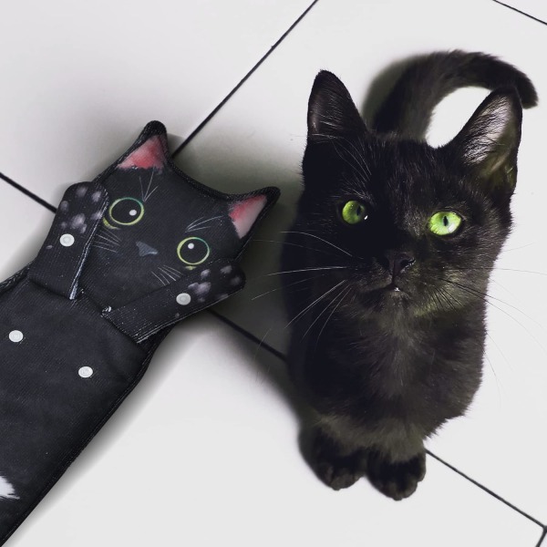 Cat Funny Handduk för badrum och kök - Söt dekorativ kattdekoration Hängande handduk Ansiktshandduk Superabsorberande och mjuk - svart