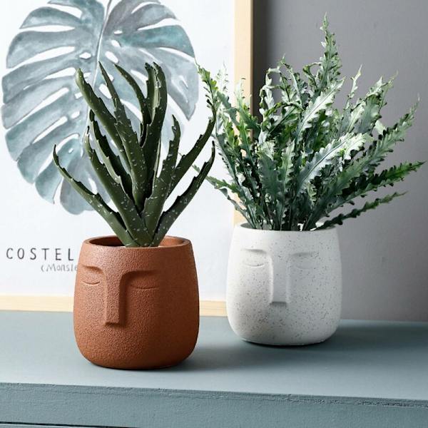 Menneskeligt ansigt keramisk blomsterpotte nordisk grøn plantepotte bonsai hjem indretning indendørs udendørs indretning - lysegrå