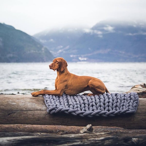 Håndvævet Knit Hundekasse Katteseng Hule Hvalpe Killing Kurv Sovepose Hunde Kennel Tilbehør Lysegrå