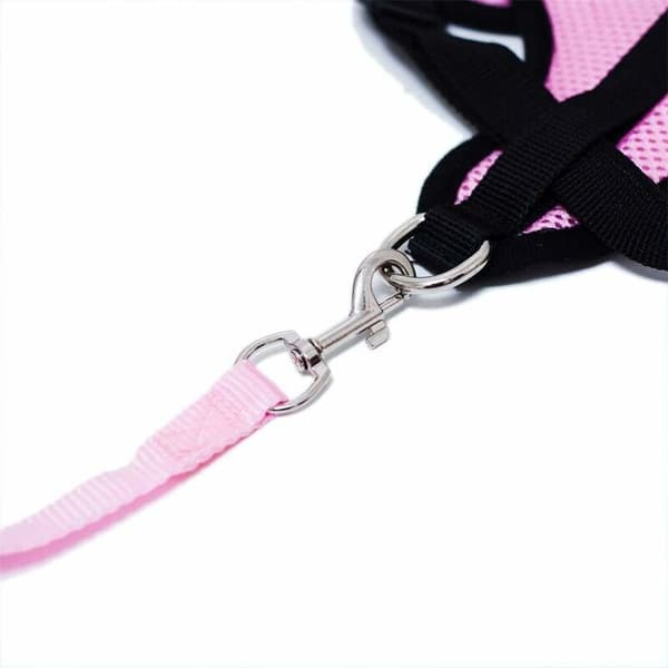 Hundehalsbånd (Pink, L)-