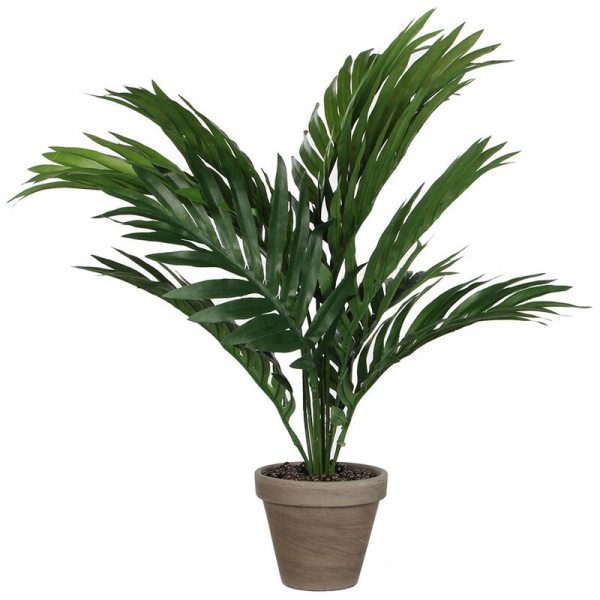 Gul Palm eller Areca Palm Pvc med grå kruka D11,5cm-H45xd60cm