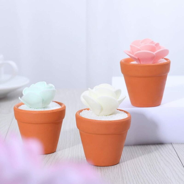 10 kappaletta Pieni Mini Terrakotta Ruukku Savi Keraaminen Ruukku Kaktus Mehikasvi Kukka Ruukut Taimitarha Ruukut (2.8 × 2.8 × 4.5 cm) -