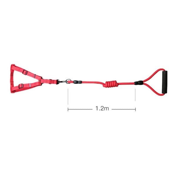 L Hunde Snore Nylon Snore til Hunde og Katte