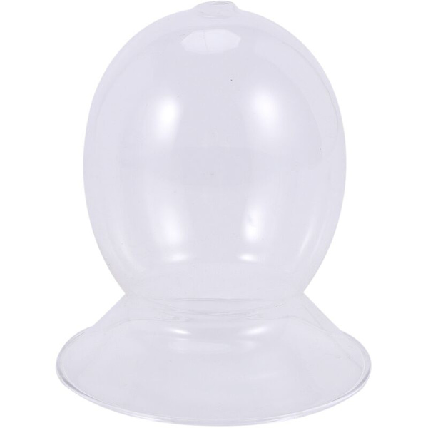 Smidesjärn Behållare Glas Transparent Blomkruka Flaska Kruka M