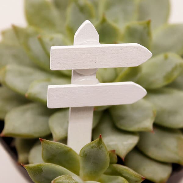 100 stk. Haveplanter Sukkulente Planter Træ Planteskilte til Havepynt