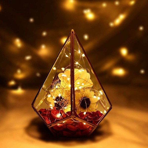 Sett med 12 batteridrevne lyslenker (inkludert) 2M 20 LED lyslenker i flerfarget kobbertråd for julepynt, bryllup, fester, C