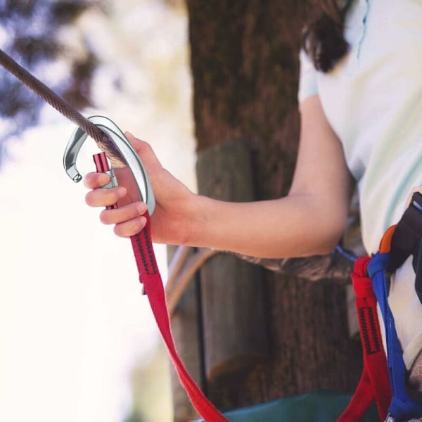 Klatrekarabiner, 2 stk. selvlåsende karabiner i aluminium og rustfrit stål D-ring karabiner til klatring og rappelling, låsehunde, hængekøjesving, te
