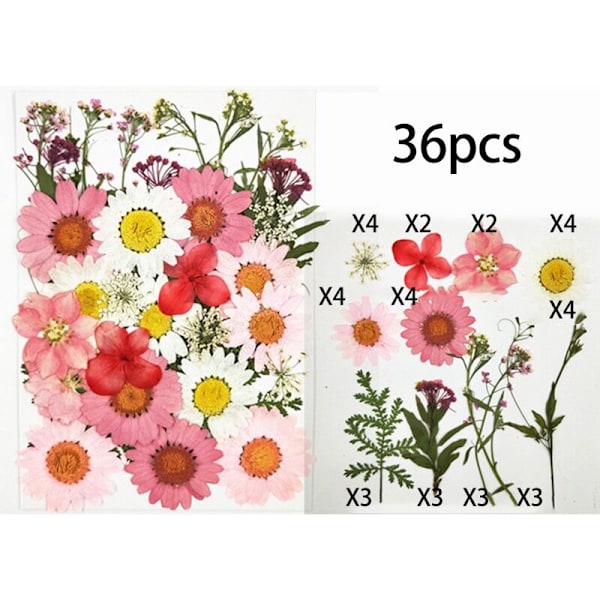 36 stk Ekte Tørkede Pressede Blomster Blad Kronblad for DIY Lys Harpiks Negle Henger Håndverk Lagging Kunst Dekor-
