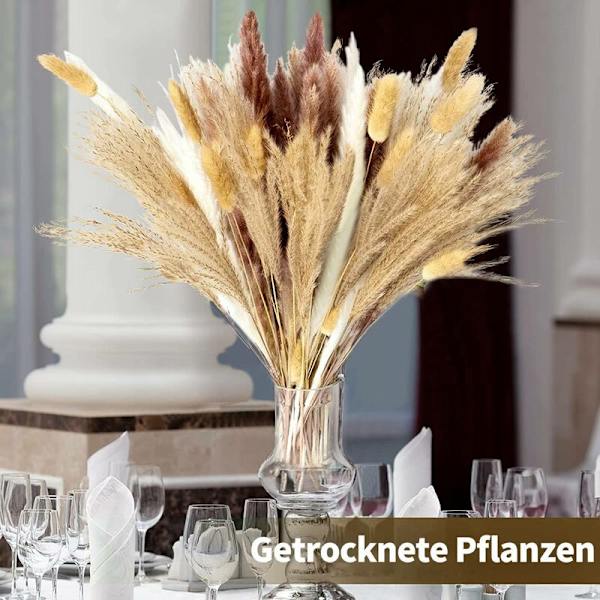Pampasgress tørkede blomsterplanter tørkede blomster til blomsteroppsatser bryllupsdekorasjon
