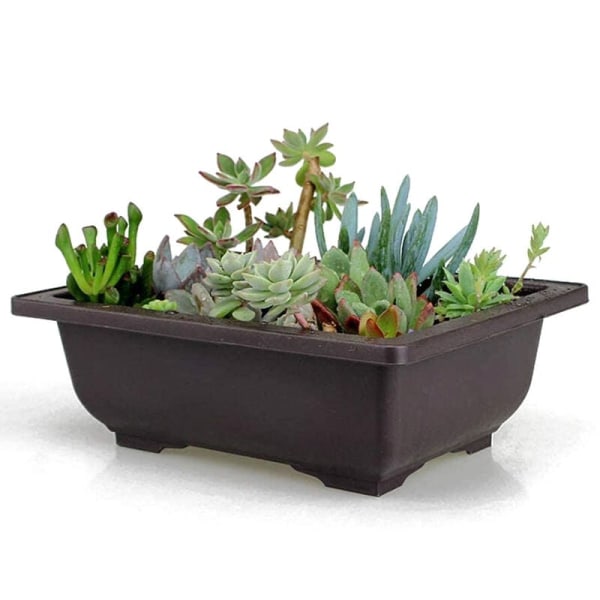 12 st Serie Rektangulär Växtkruka Succulenta Krukor med Hållbara Växtkruka Behållare Brickor