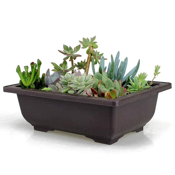 12 stk. serie rektangulære plantepotter sukkulente potter med holdbare plantepottebeholderbakker