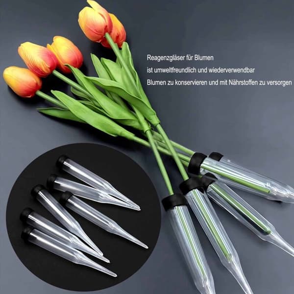 Blomrör 100-pack Plastblomrör, Transparenta Blomrör, Återanvändbara Blommor, Blomrör
