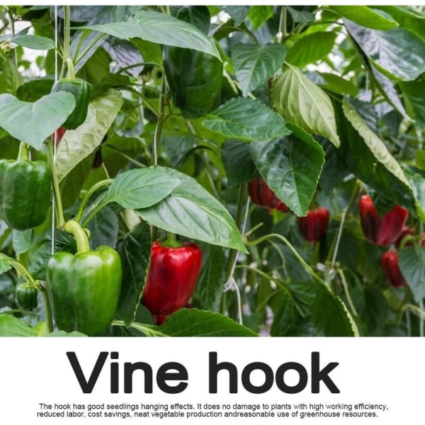 Tomatstöd krokar med tomatklämmor, J-krokar, vinrankor för att förhindra att tomater kläms eller faller med snöre