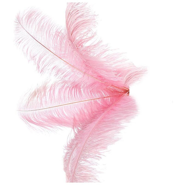 20 stk Naturlige Strudsefjer Rose Dekoration 20-25cm