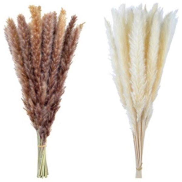 Pack of 60 Pampas Grass Decorations Dried Flowers 55cm for Home Decor Photography Wedding Props