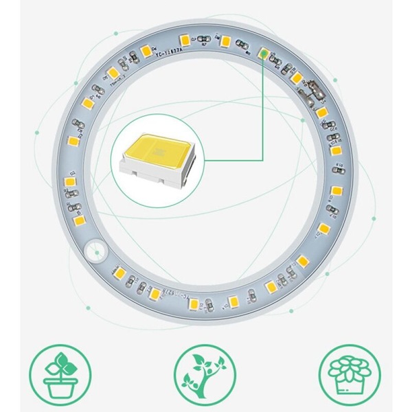 Spectrum LED -kasvikasvuvalaisin, kasvivalo, LED-valopalkki, rengas sisätilojen mehikasveille, valo