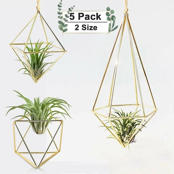 10 kappaletta ilmatehtaan pidikettä, pieni metallinen pöytälevy, geometrinen istutuskone, Tillandsia-ilmakasvinäyttöteline