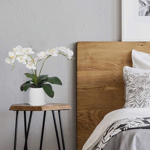 6 stk. Phalaenopsis Orkide Kunstige Blad Ekte Røtter Latex Touch Planter Grønn Falsk Blad Arrangement
