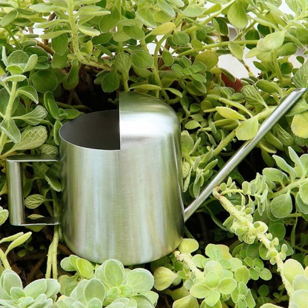 Tykk børstet rustfritt stål vannkanne 11OZ/300ml Lang tut Mini vannkanne for Bonsai Blomster Planter i Hage Hjemmekontor Terrasse