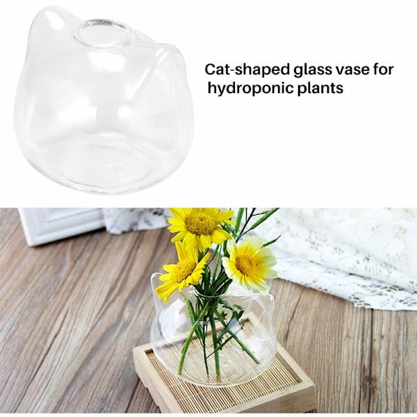 Kattglasvas Hydroponisk Växtvas Terrarium Behållare Kruka Dekor Konst