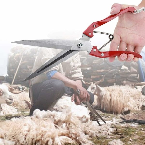 Lammas- ja vuohenvillaa leikkaavat sakset, ruostumattomasta teräksestä valmistetut käsisakset Monitoiminen lampaanvillan leikkaussakset (Punainen