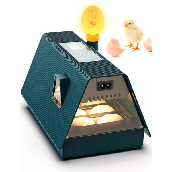 10 Ägg Automatisk Äggkläckningsmaskin, Äggkläckningsmaskin, Automatisk Kläckningsmaskin Automatisk Äggvridare, Temperaturkontroll och Fuktighetsdisplay