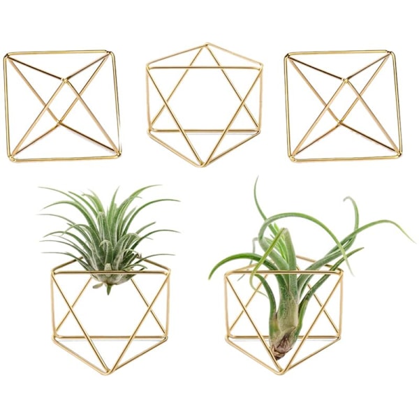 6 st Luftväxtställ Mini-bricka Metallbord Modern Dekor Geometrisk Planteringskruka Tillandsia Luftbräken Displayställ
