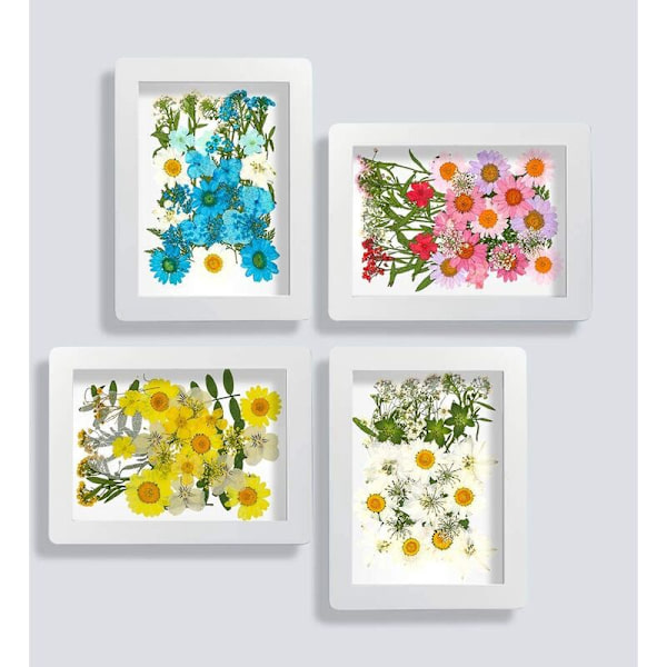 36 stk Ekte Tørkede Pressede Blomster Blad Kronblad for DIY Lys Harpiks Negle Henger Håndverk Lagging Kunst Dekor-