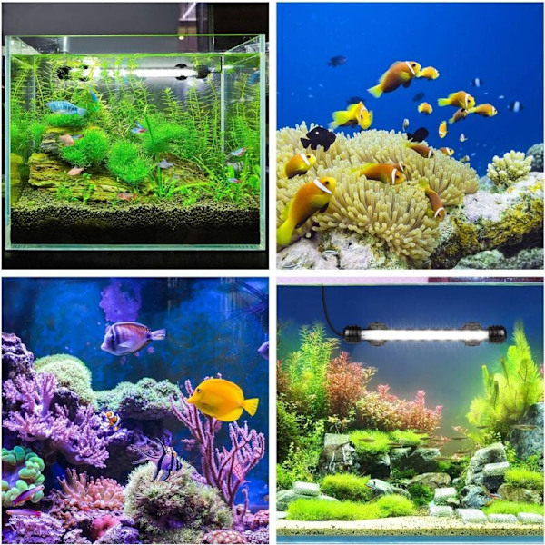 LED Akvarielampe, Nedsænkelig Akvarielampe med Automatisk Tænd/Sluk Timer, Farveskiftende Blå og Hvid LED-belysning til Akvarier fra 20 til 40 cm [Ener