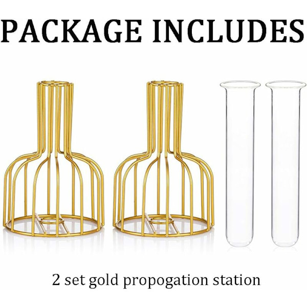 Mini Vas Set - Små Vas för Borddekoration - Modern Knoppblomma Vas - Hydroponisk Glasvas - Provrör (Guld) - Fei Yu