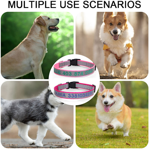 Personliga Reflekterande Hundhalsband, Graverade med Namn och Telefonnummer, Justerbar Hund Rosa+rosa