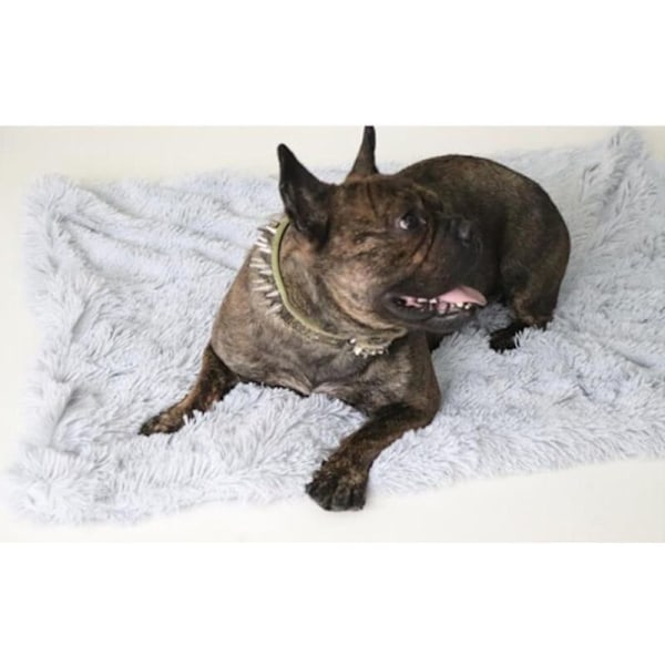 Fluffy Plush Hundedækken 100x75cm Beige - Dobbeltsidet - Super Blødt og Varmt - til Kæledyr - Hundebed Sovedækken