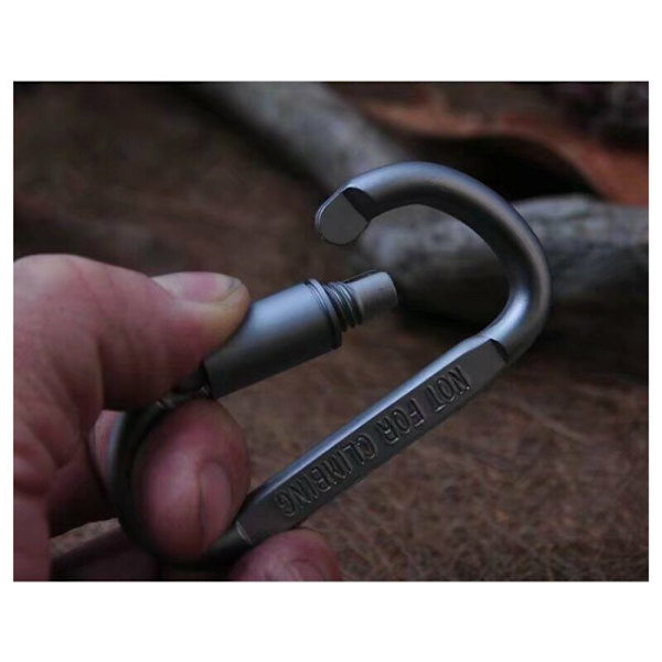 Mini Micro 2 Karabiner med skruvlock, 2-pack