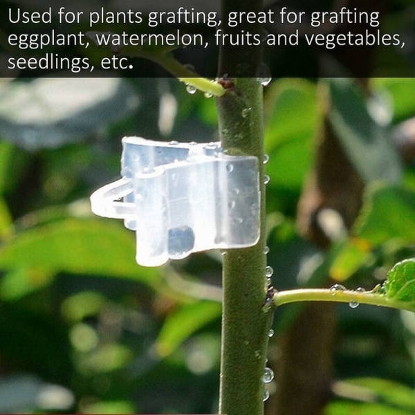 Trädgårdsympningsklämmor 100 st Plast Plaststöd Trädgårdsklämma Grönsaksväxt Tomat Fruktträd Mini Trädgårdsverktyg