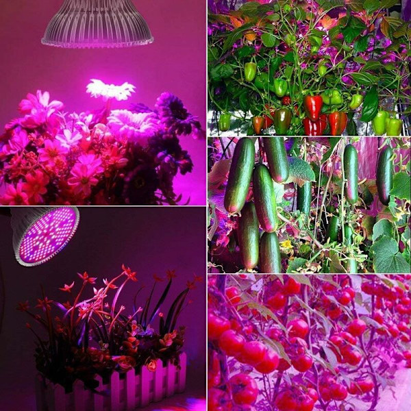 Kasvilamppu Kasvulamppu E27 Lamppu 100W 150 LED:tä Täyspektrinen LED-kasvualamppu, Kukille ja Vihanneksille Sisätiloihin/Kasvihuoneeseen/Puutarhaan