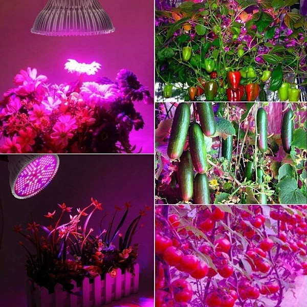 Plantelampe Vekstlampe E27 Lampe 100W 150 LEDer Full Spectrum LED Vekstlys, Blomster og Grønnsaker Innendørs/Drivhus/Hage