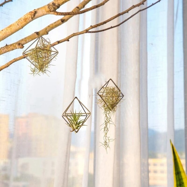 3-pack luftväxtställ, metallblommor, geometrisk modern minimalistisk praktisk dekoration för hem, kontor och bröllop